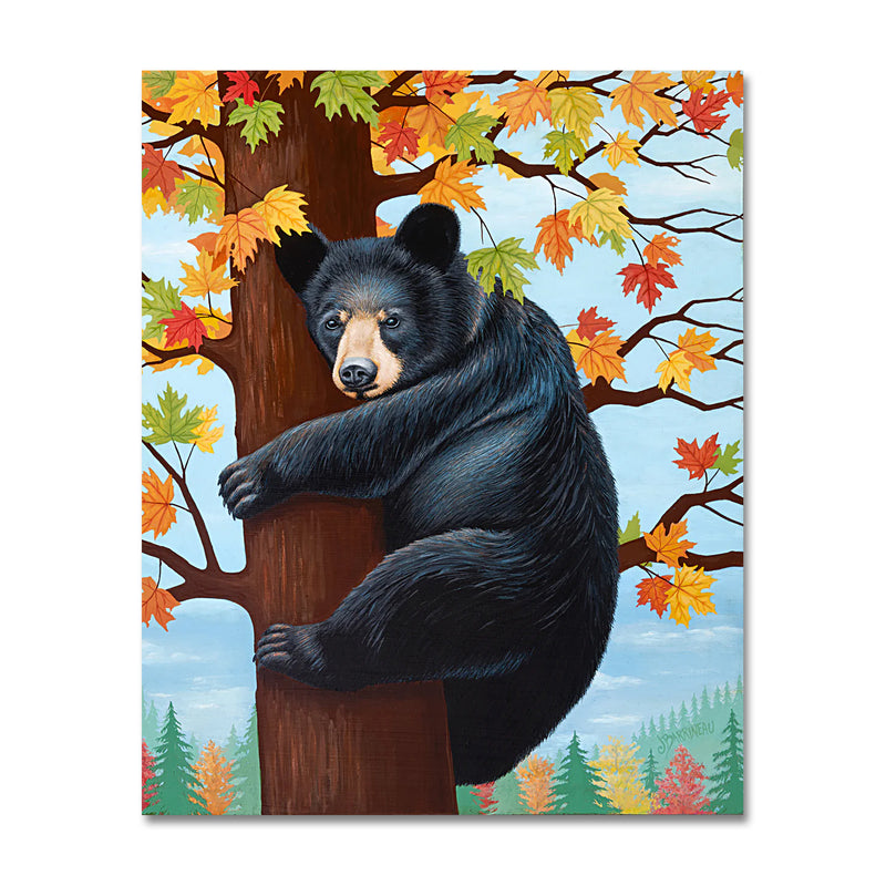 Autumn Bear 16X20 Print On Canvas