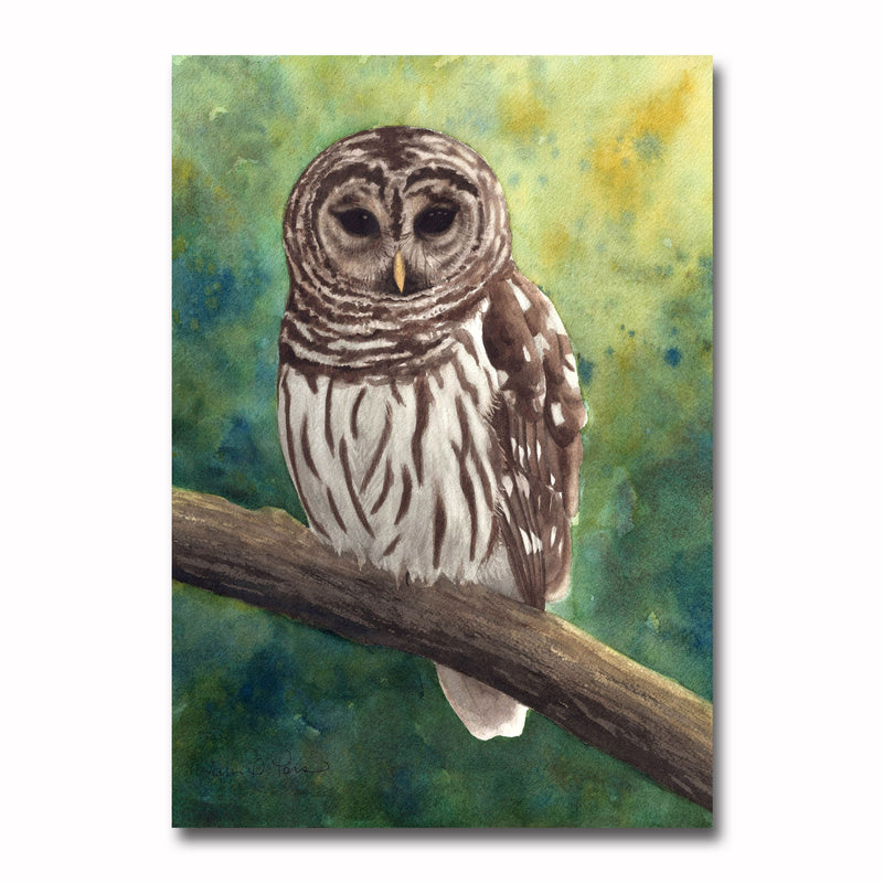 Barred Owl Giclee