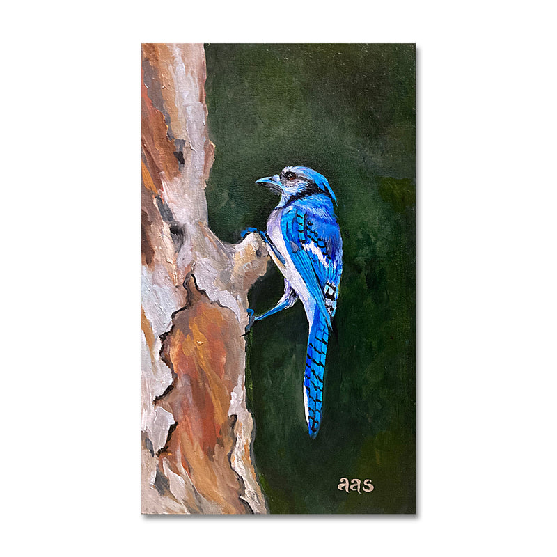 Blue Chatter 7X12 Oil On Wood