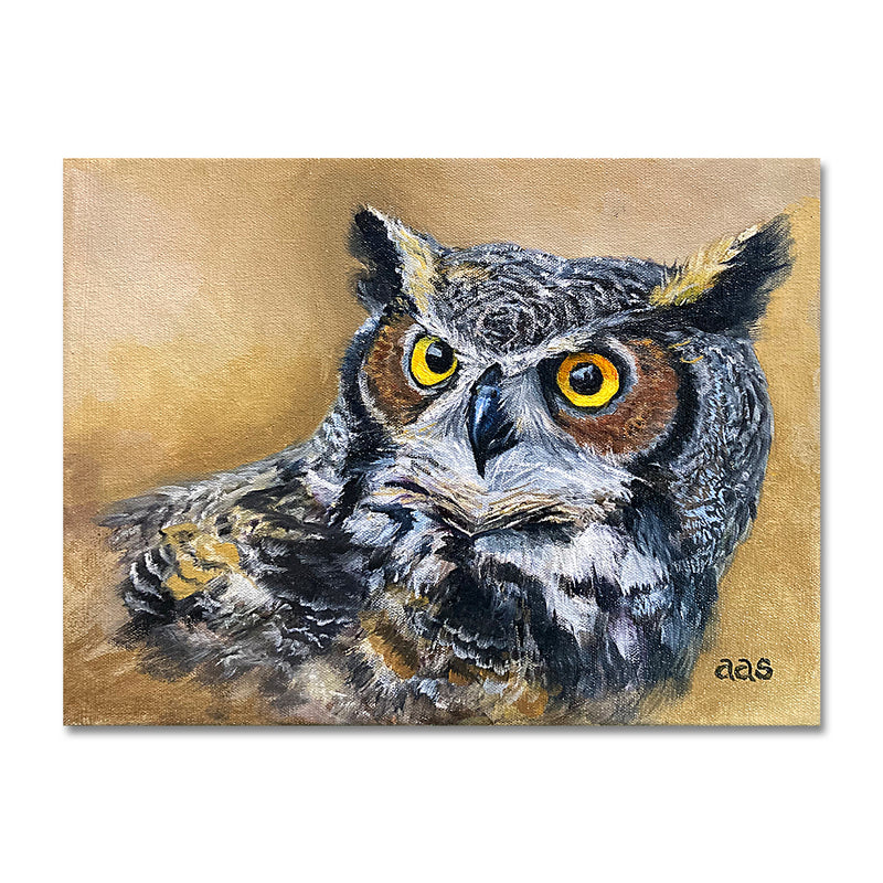 An Owl's Gaze 9X12 Oil On Canvas