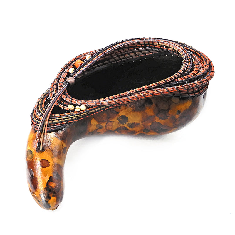 Meandering Gourd