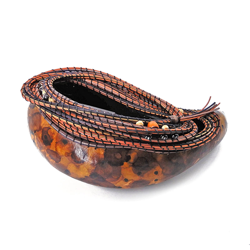 Meandering Gourd