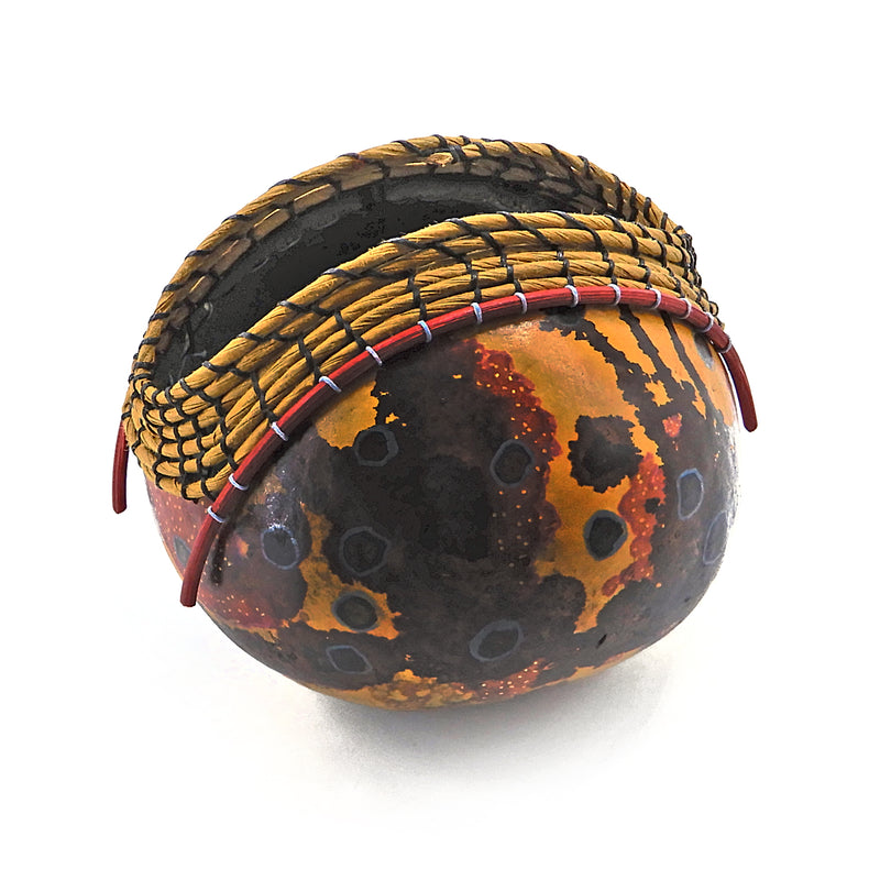 Earth Erupts Gourd