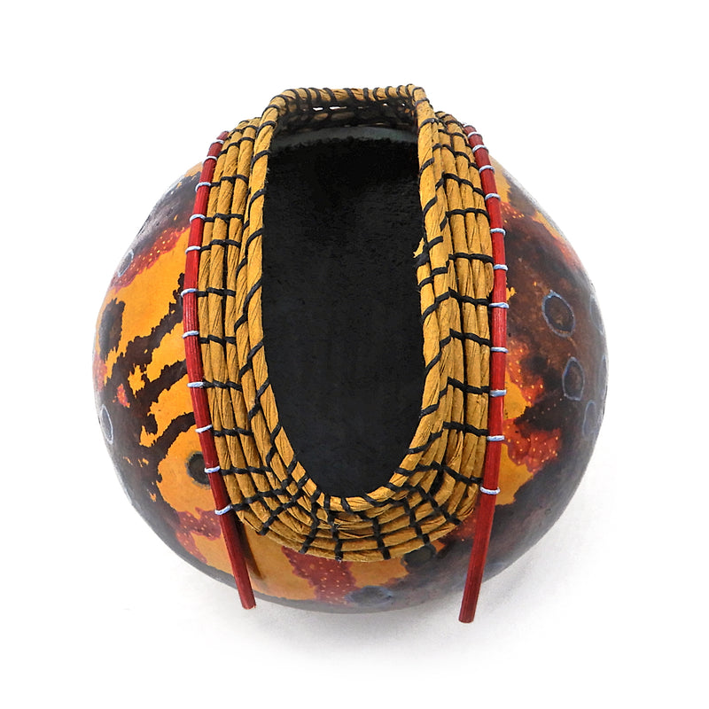 Earth Erupts Gourd