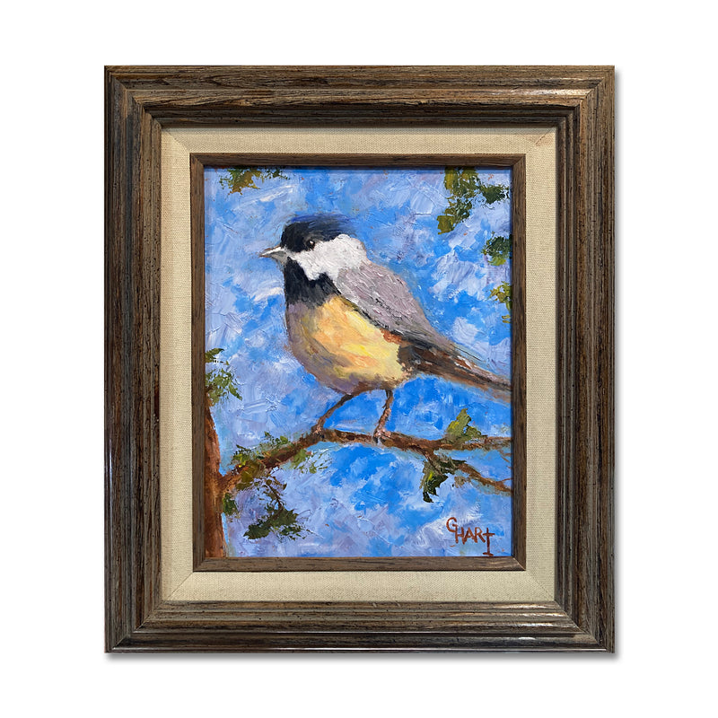 Carolina Chickadee 13X15 Oil On Board