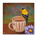 Tea Time Goldfinch 8X8 Acrylic On Wood
