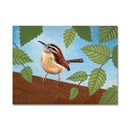 Carolina Wren 6X8 Acrylic On Wood