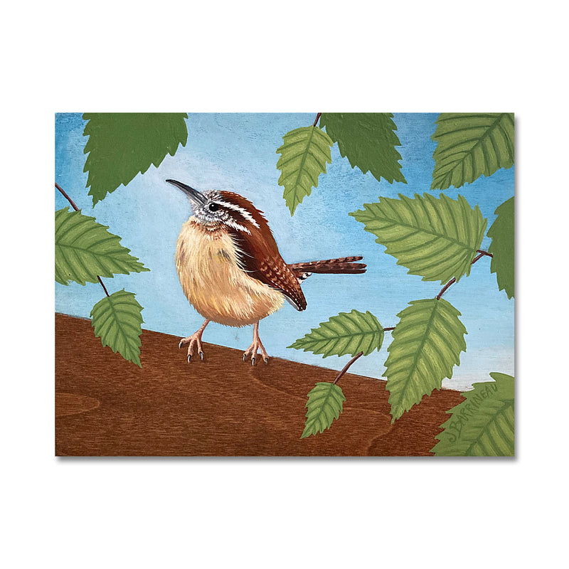 Carolina Wren 6X8 Acrylic On Wood