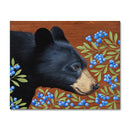 Black Bear With Blueberries 11X14 Print