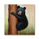 Tree Hugger 12X12 Print