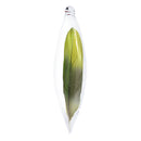 Parrot Feather in Glass Ornament Oblong