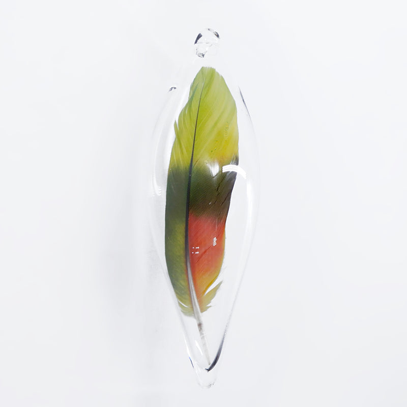 Parrot Feather in Glass Ornament Oblong