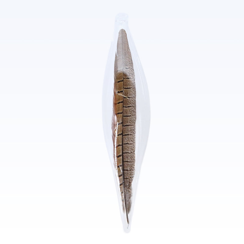 Banded Pheasant Feather in Glass Ornament XLG