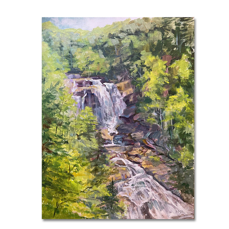 Whitewater Falls 8X10 Oil On Birch Panel