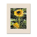 Cynthia's Sunflower 11X14 Print