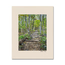 Take A Hike 11X14 Print