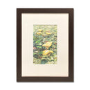 Chanterelle V 14X18 Watercolor