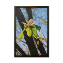 Fraser Magnolia 17X25 Oil On Canvas