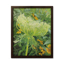 Queen Anne's Lace 17X21 Oil On Canvas