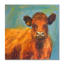 Daisy 24X24 Oil On Canvas