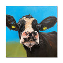 Important Bovine 18X18 Oil On Canvas