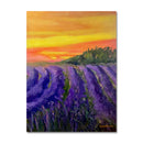 Lavender At Sunset 12X16 Oil On Canvas