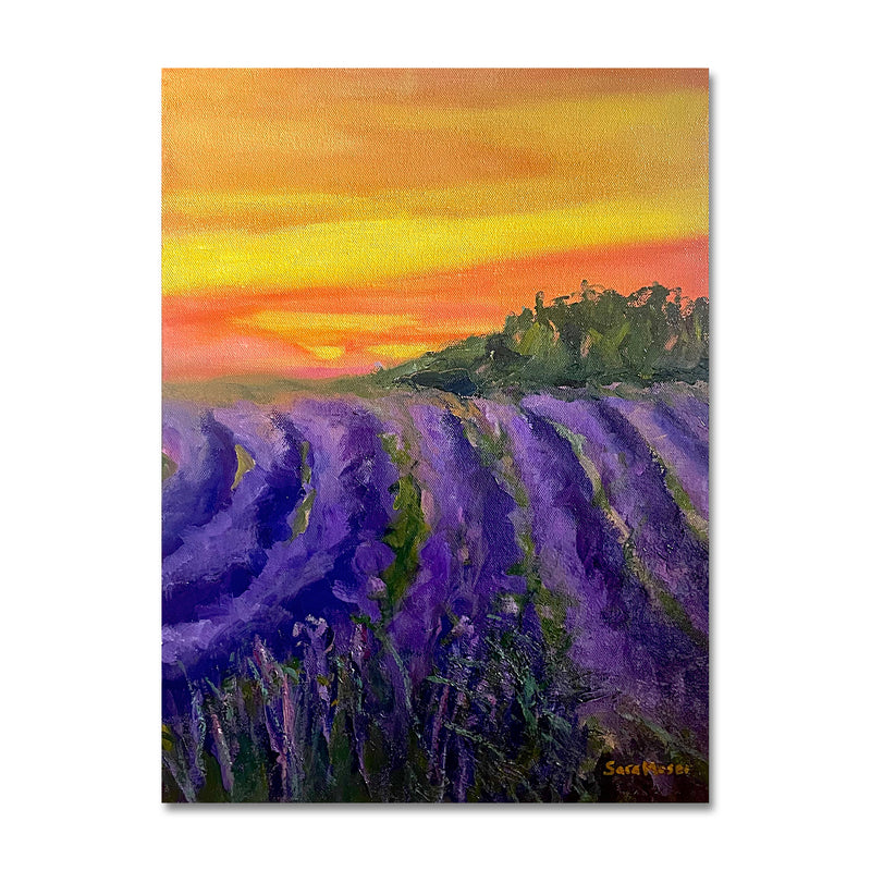 Lavender At Sunset 12X16 Oil On Canvas