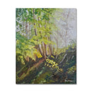 Where Silence Grows 14X18 Oil On Canvas