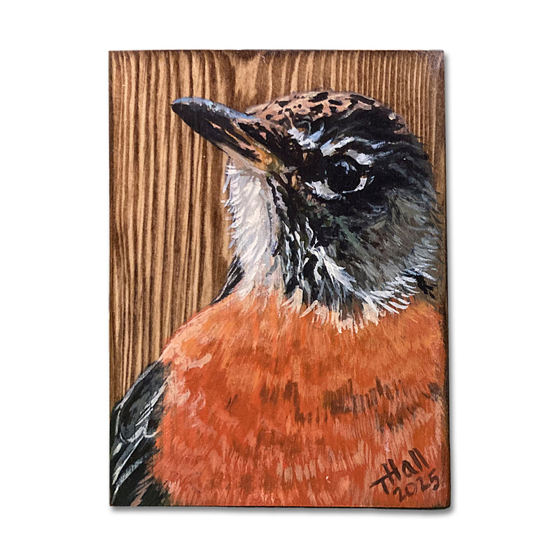 Robin Block