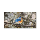 Bluebird 7X14 Acrylic On Canvas