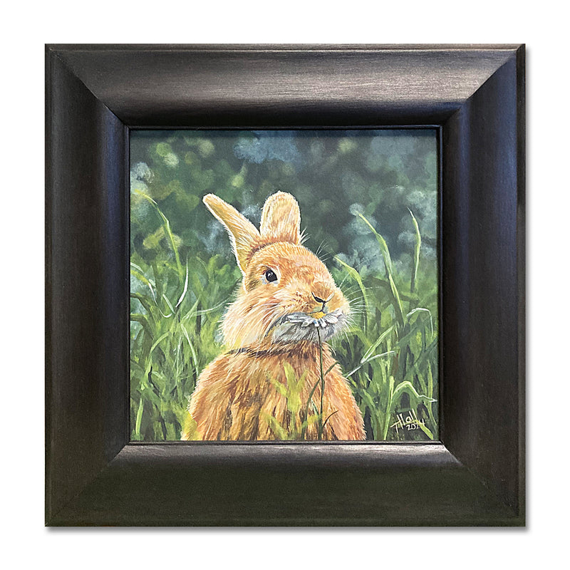 Munching Rabbit 12X12 Acrylic On Board