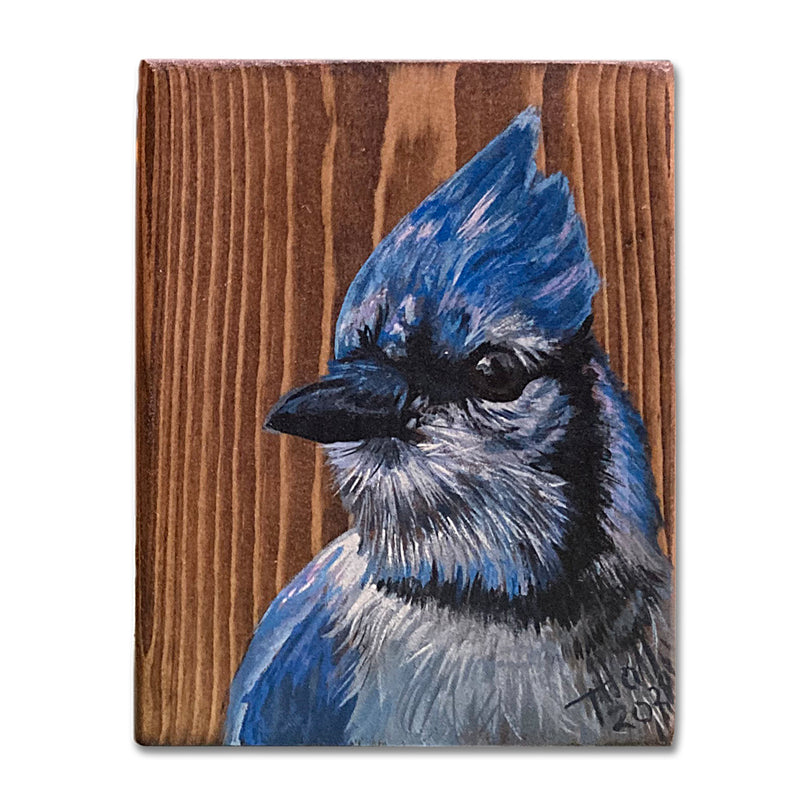 Blue Jay Block