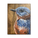 Bluebird Block