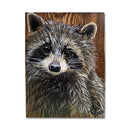 Raccoon Block