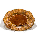 Tortoise Oblong Platter Lg
