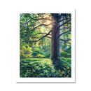 Stillness 11X14 Print