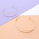 Double Hoop Post Earrings Lg in Gold