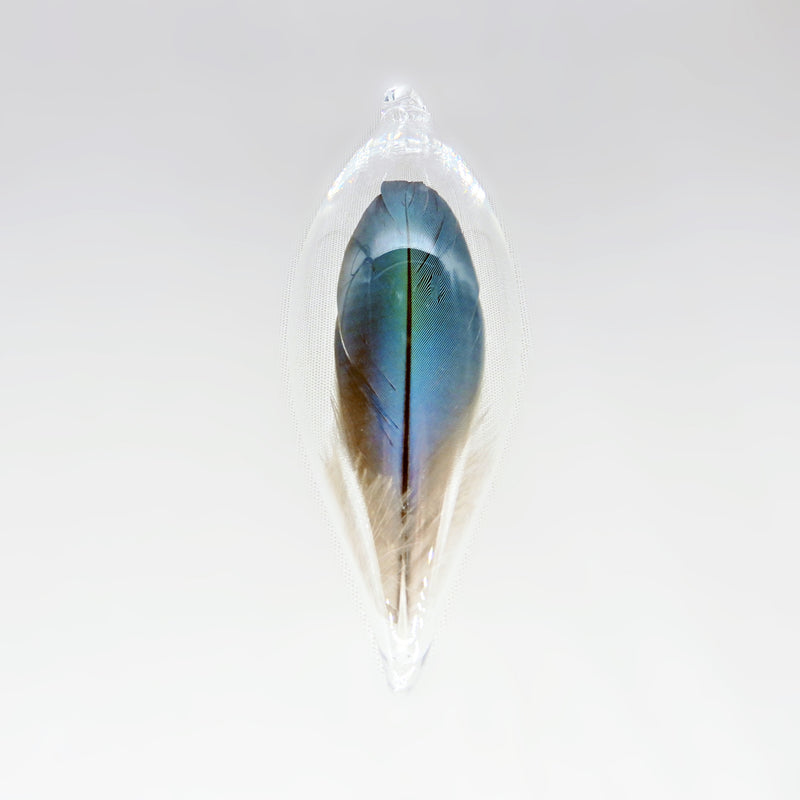 Parrot Feather in Glass Ornament Oblong