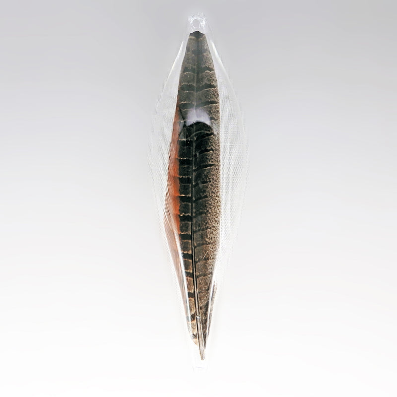 Banded Pheasant Feather in Glass Ornament XLG
