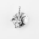 Rabbit, One Ear Down