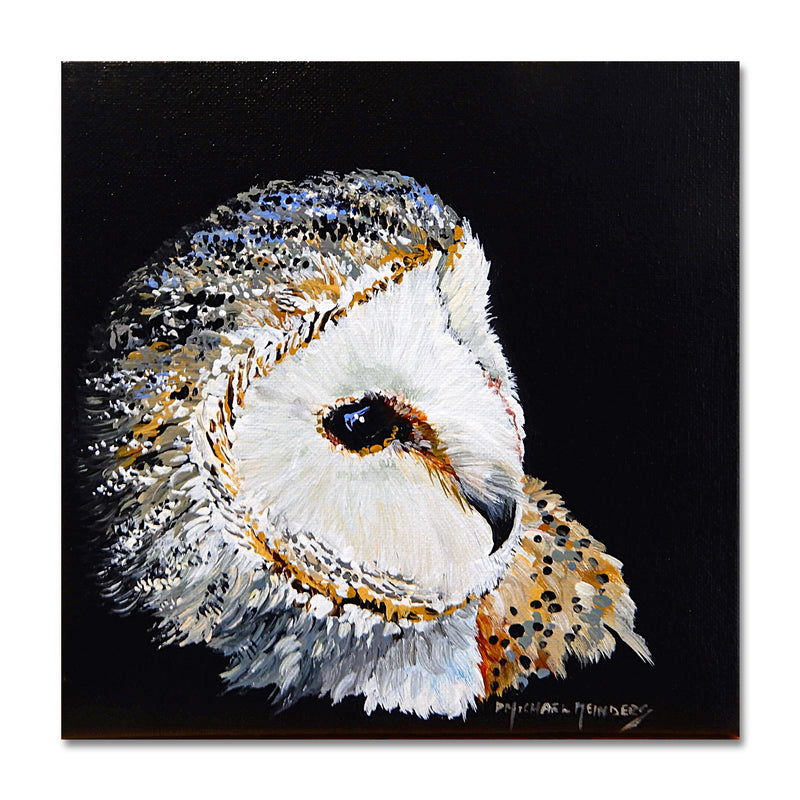 Barn Owl/ Black Background 8X8 Acrylic On Canvas
