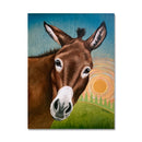 Playful Donkey 11X14 Print