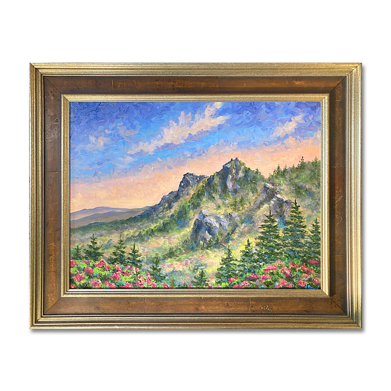 Grandfather Mountain Bloom 24X30 Oil On Canvas