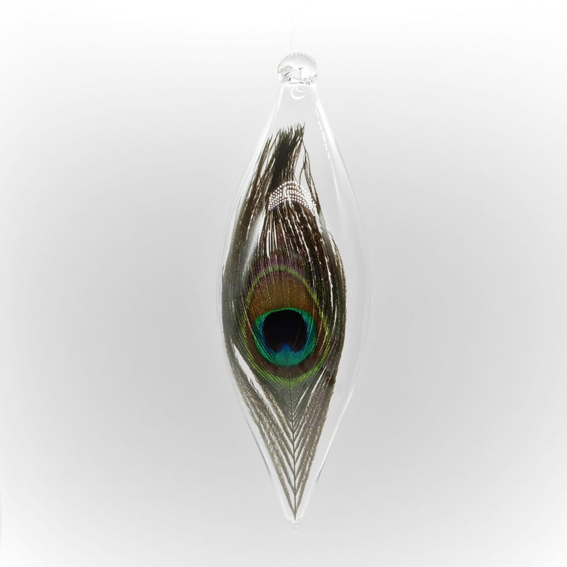 Peacock Feather in Glass Ornament Oblong