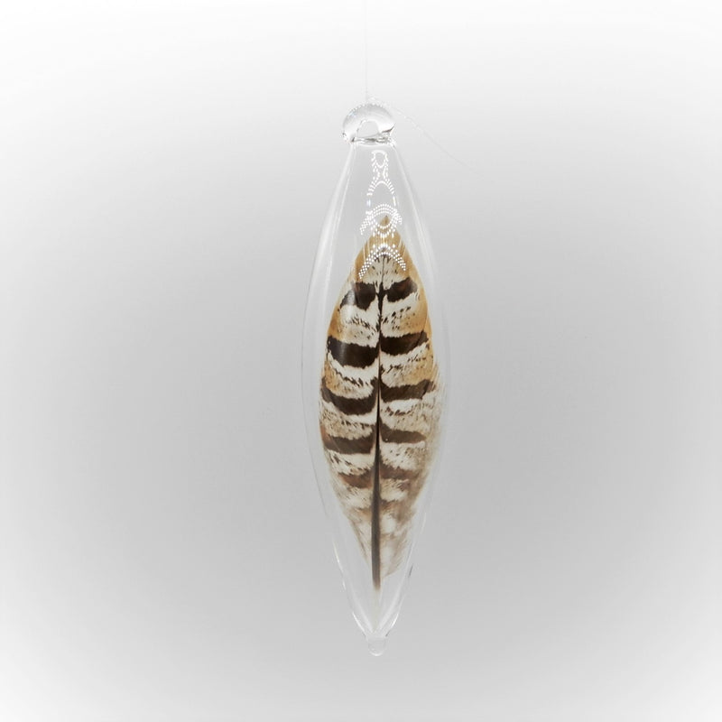 Banded Pheasant Feather in Glass Ornament Oblong