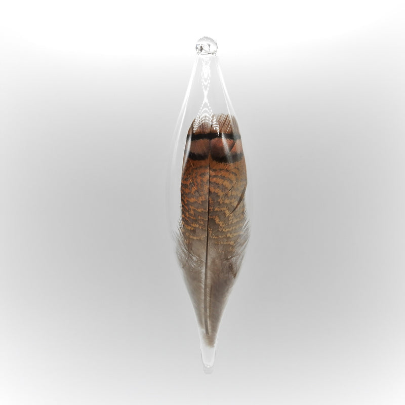 Turkey Feather in Glass Ornament XLG