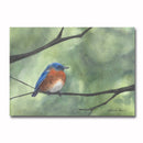 Eastern Bluebird/Green Giclee