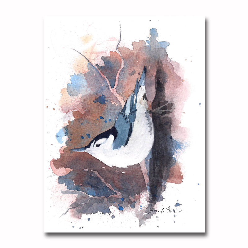 White-breast Nuthatch/Splat Giclee