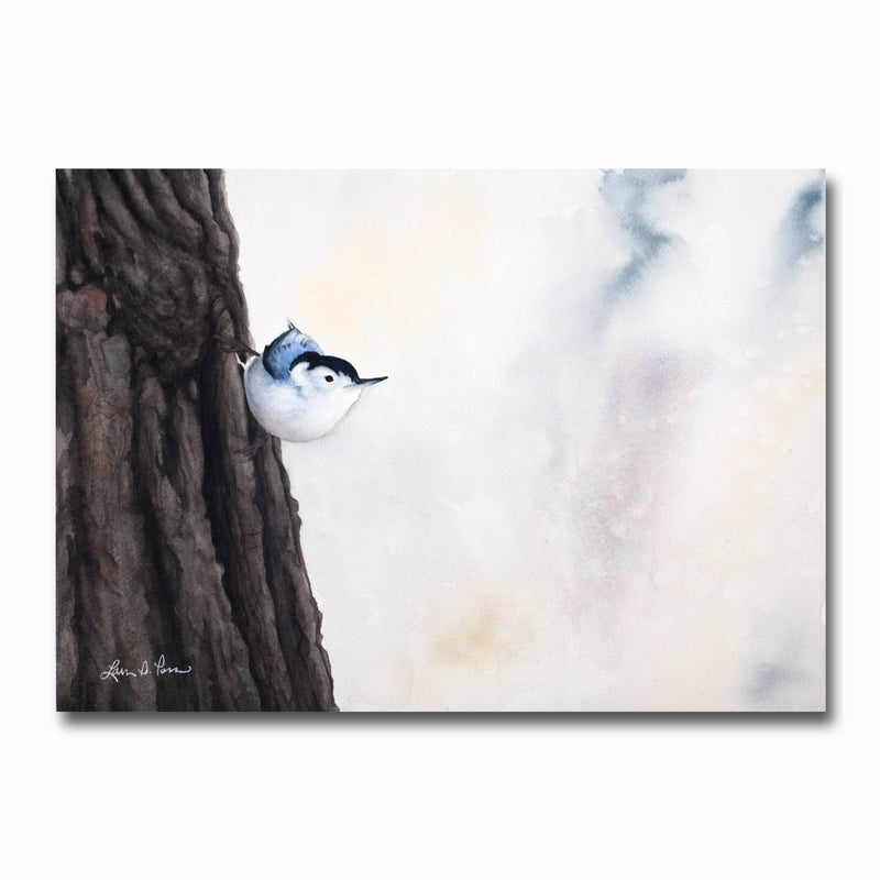 White-breast Nuthatch/Tree Giclee