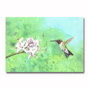 Flying Jewel Giclee